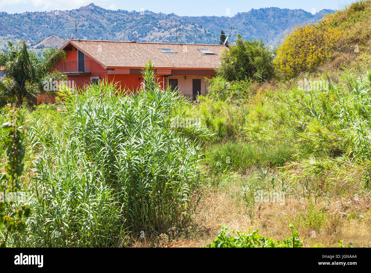 Reisen Sie nach Sizilien, Italien - Haus und verwilderten Garten in Giardini Naxos-Stadt im Sommer Stockfoto