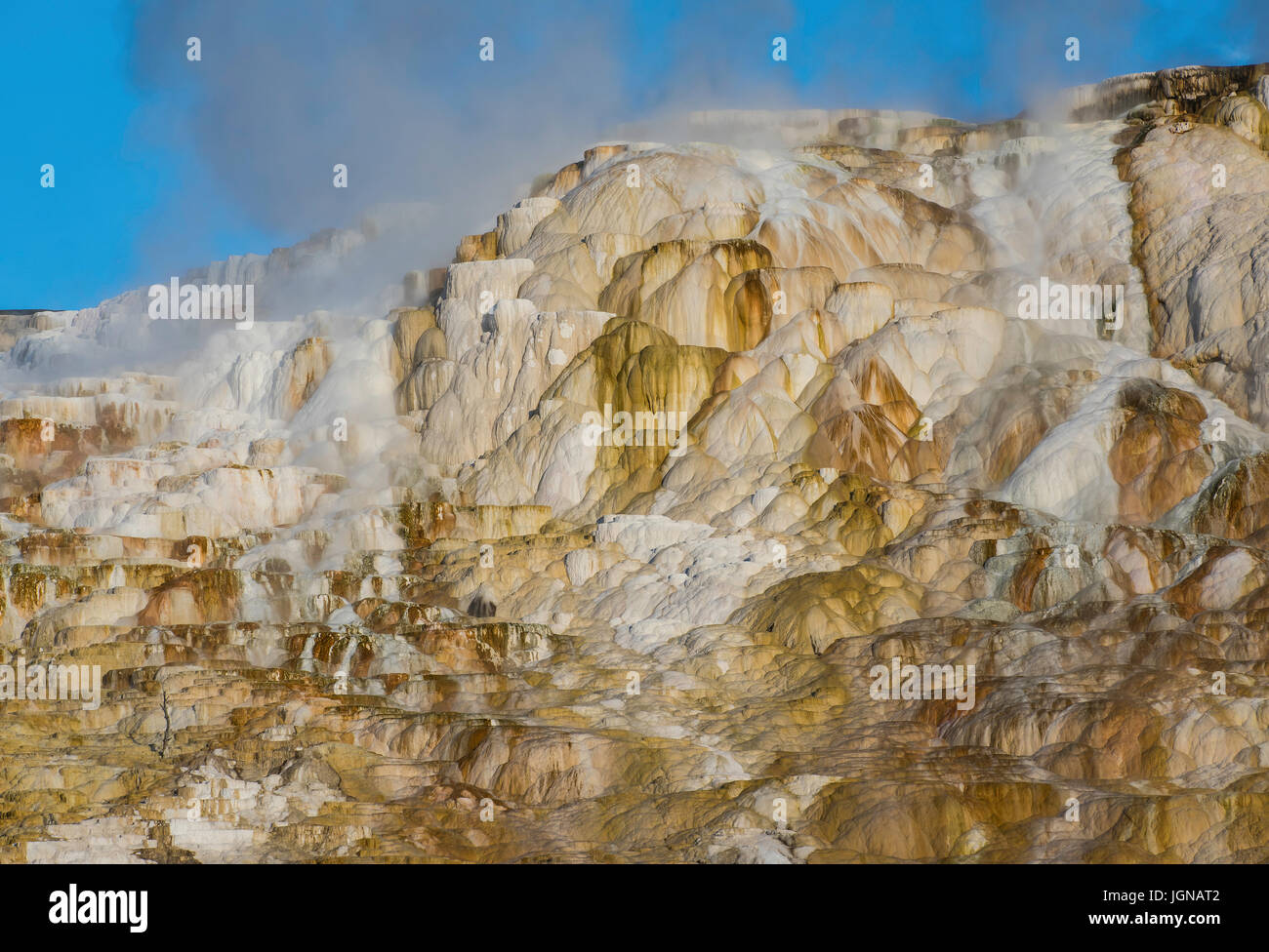 Travertin-Formationen, Mammoth Hot Springs, Yellowstone-Nationalpark, Wyoming, durch Bruce Montagne Stockfoto