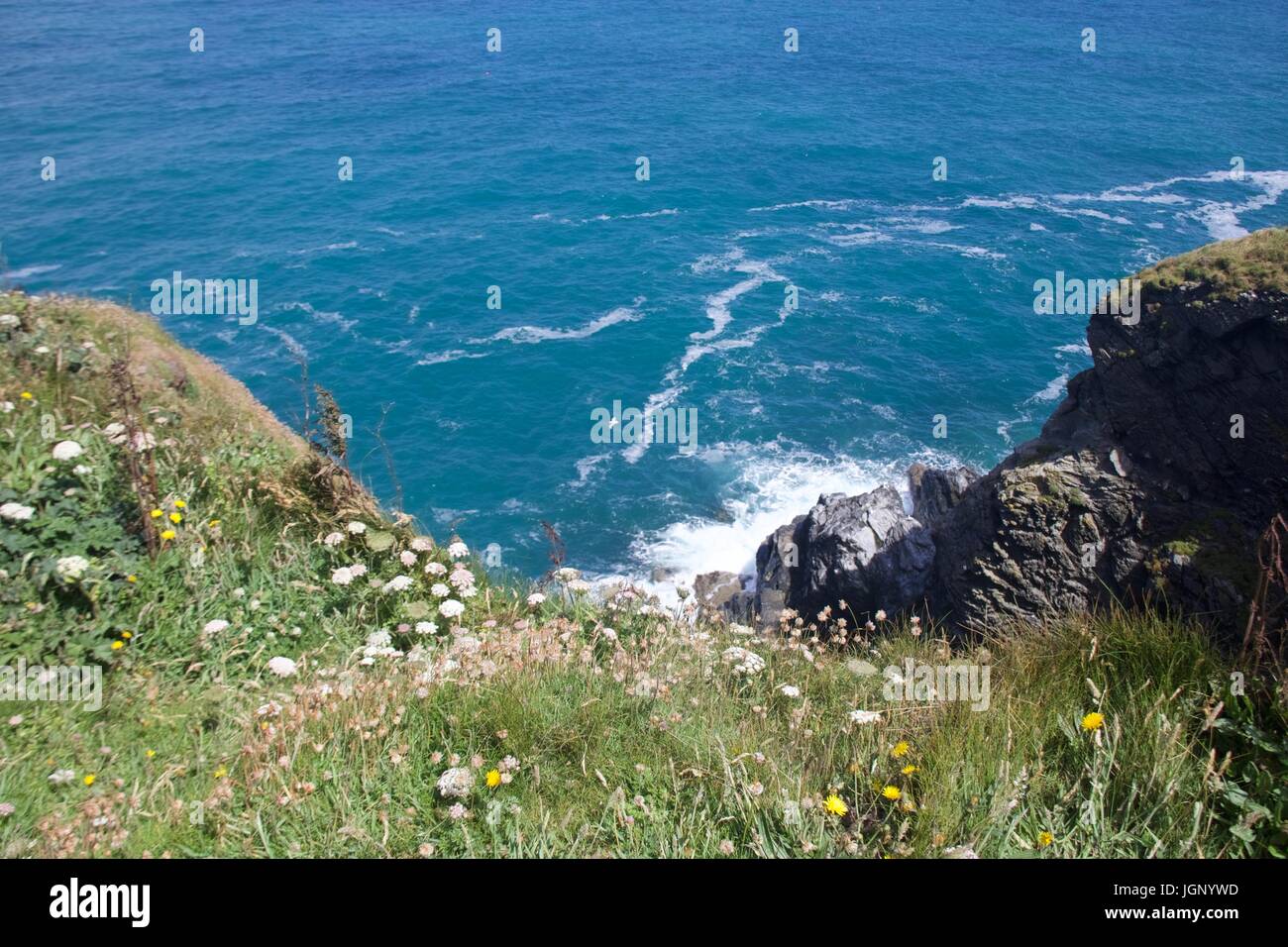 Die nördlichen Klippen von Cornwall, England, vom Küstenweg. Stockfoto