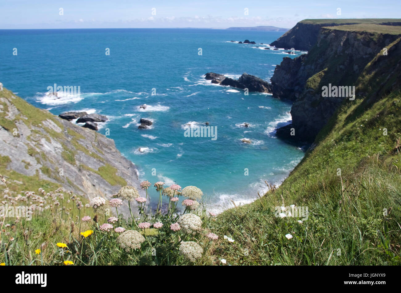 Der malerische Norden Klippen in Cornwall, Großbritannien von Mutton Cove. Stockfoto