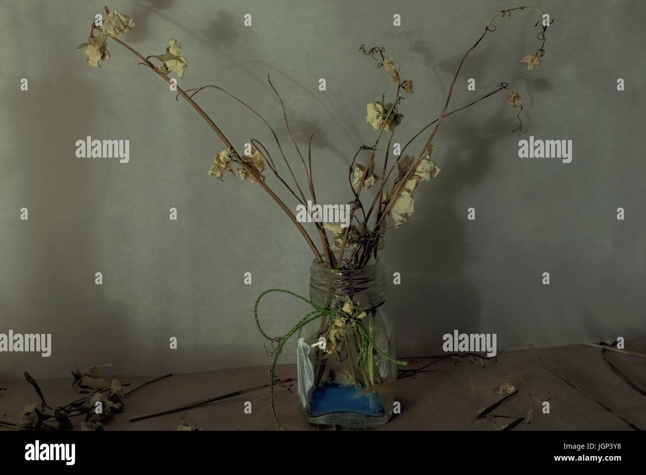Stillleben mit Trockenblumen in einer Glas-Vase-Nahaufnahme Stockfoto