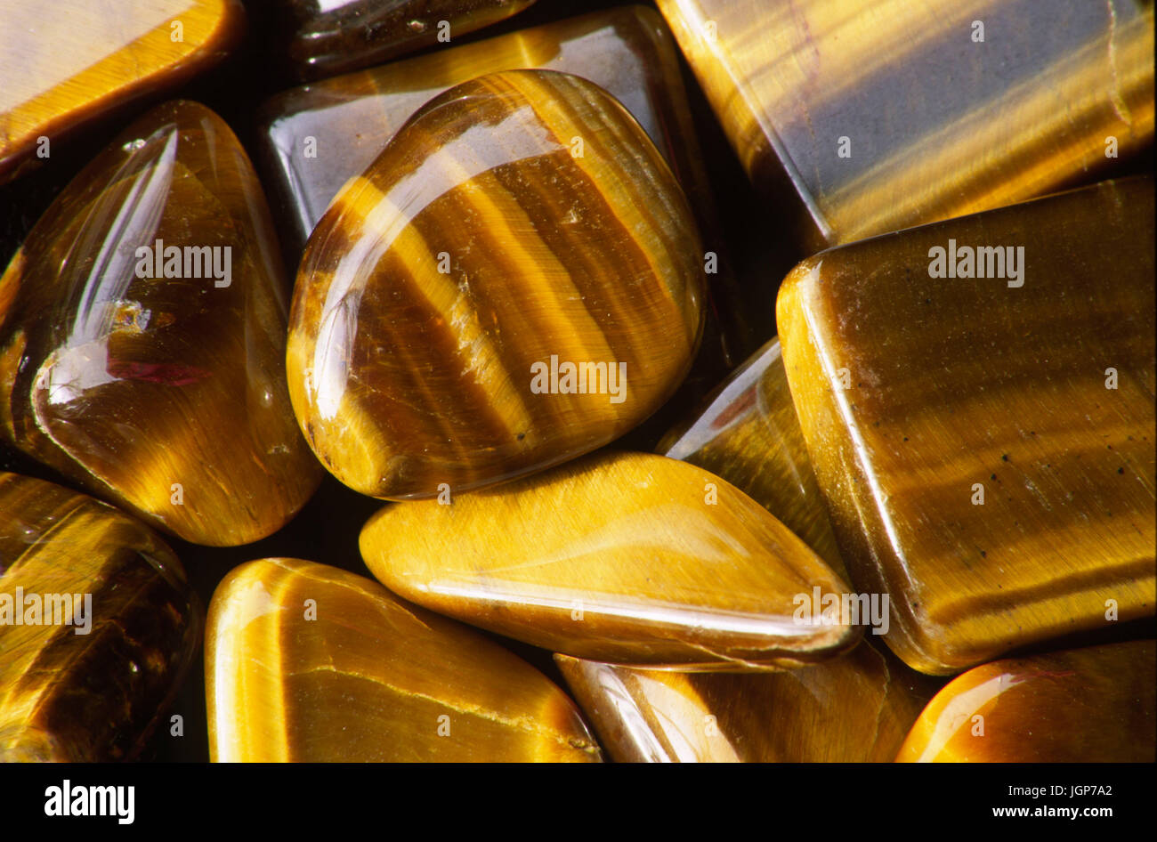 Tiger Eye Stockfoto