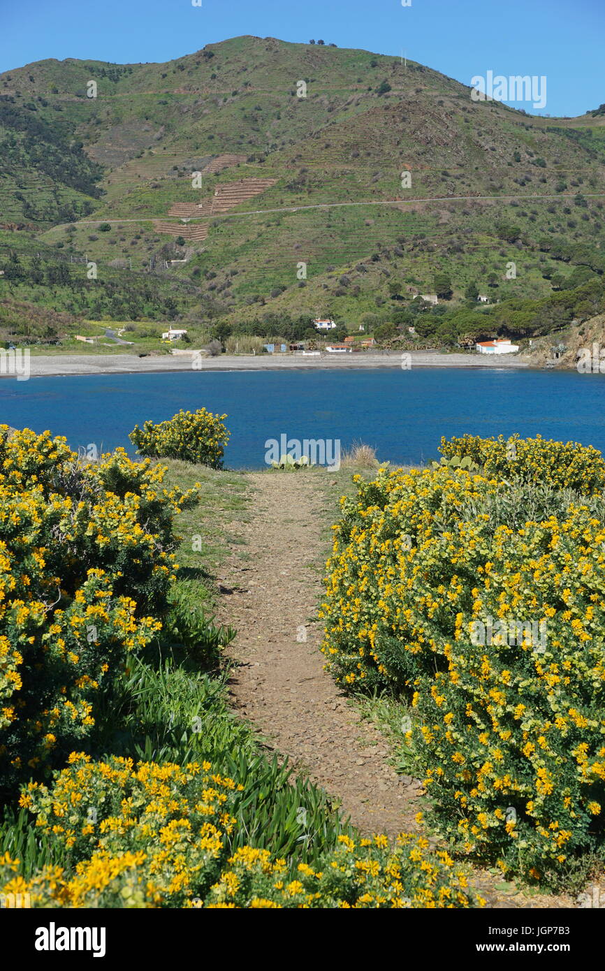 Fußweg an der Mittelmeerküste mit dem Meer und Strand im Hintergrund, Peyrefite, südlich von Frankreich, Pyrenäen Orientales, Roussillon Stockfoto