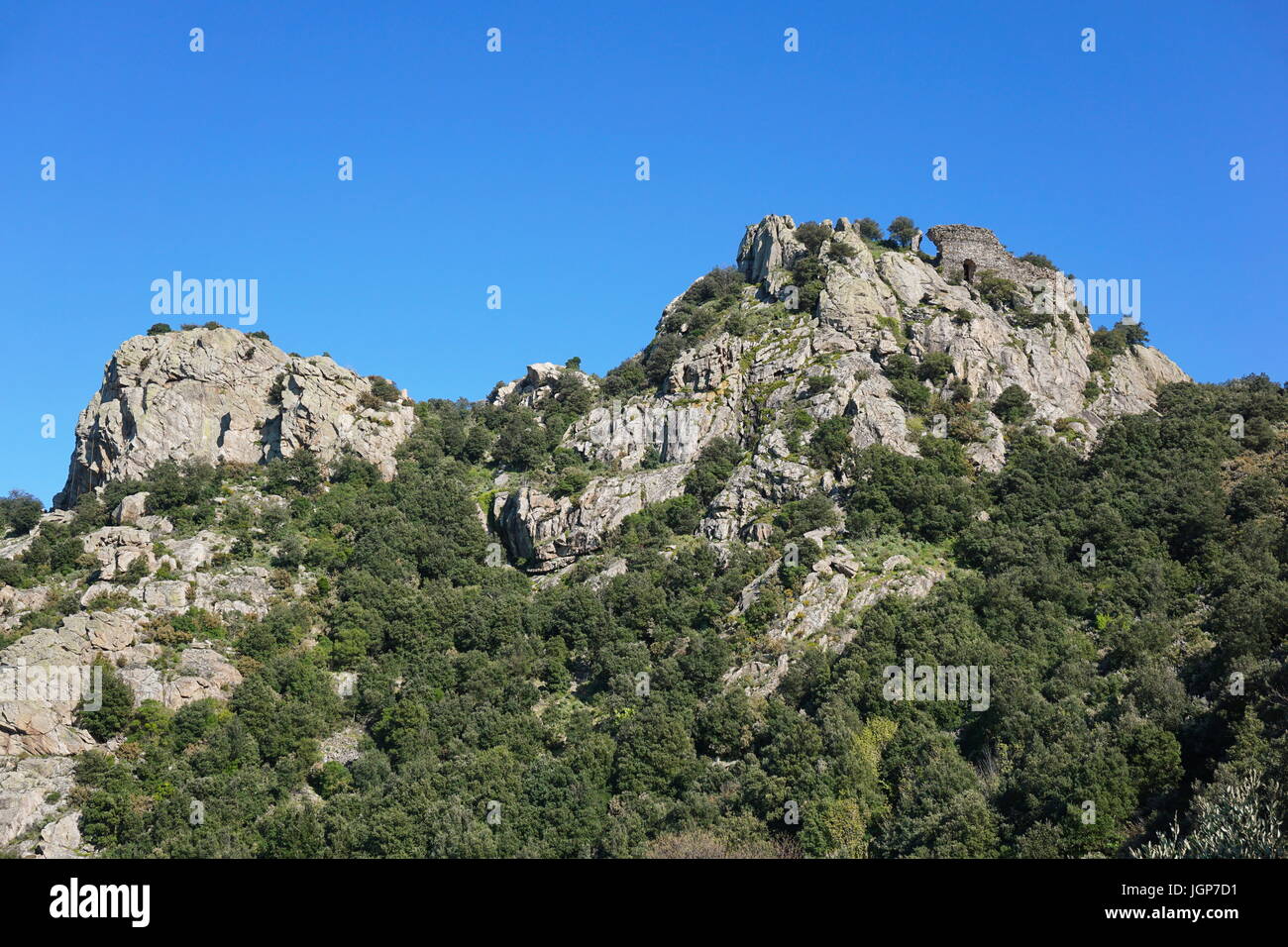 Die Ruinen der Burg Ultrera an der Spitze eines steilen felsigen Sporn des Massivs des Alberes, Pyrenäen Orientales, Roussillon, Südfrankreich Stockfoto