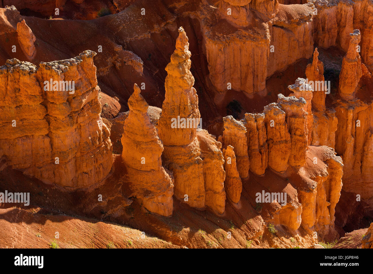 Hoodoos, Bryce-Canyon-Nationalpark, Utah Stockfoto