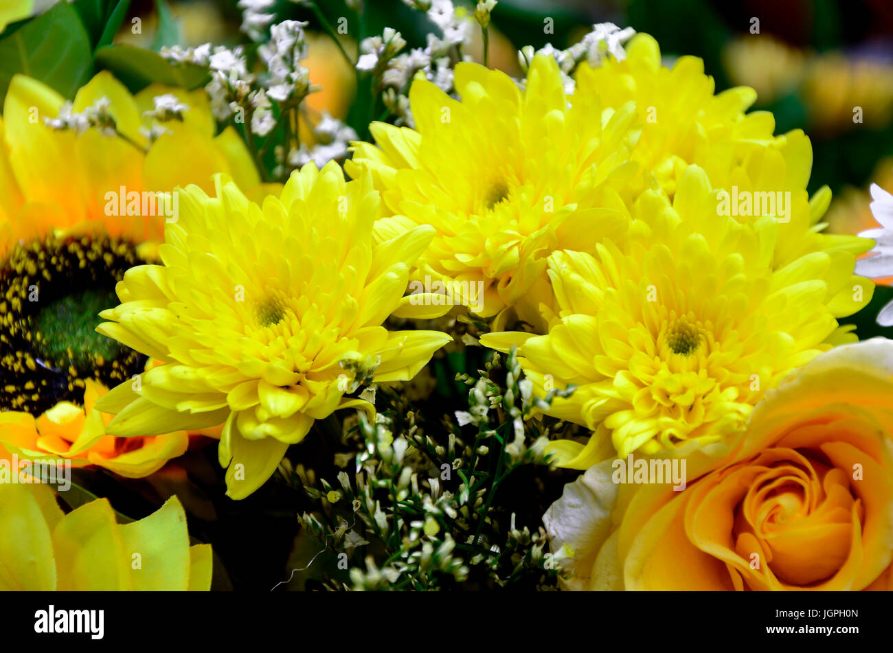 Blumenstrauß. Floral Arrangemant in gelben Ton. Stockfoto