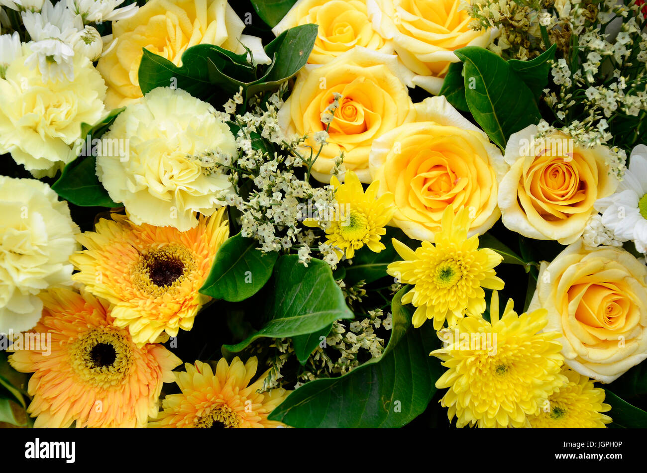 Blumenstrauß. Blumenarrangements in Gelbton. Stockfoto