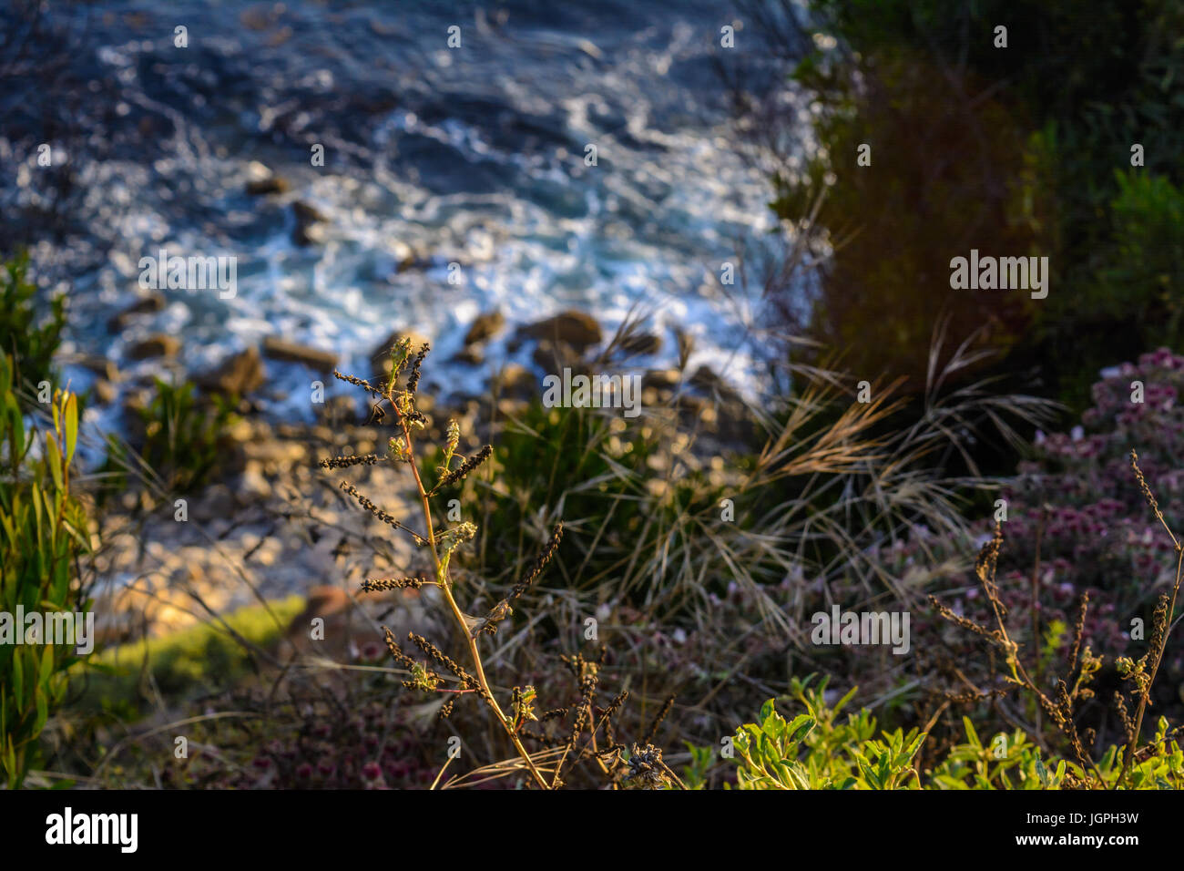Auf der Suche nach einer Klippe am Punkt Vincent Leuchtturm in der Nähe von Palos Verdes, CA Stockfoto