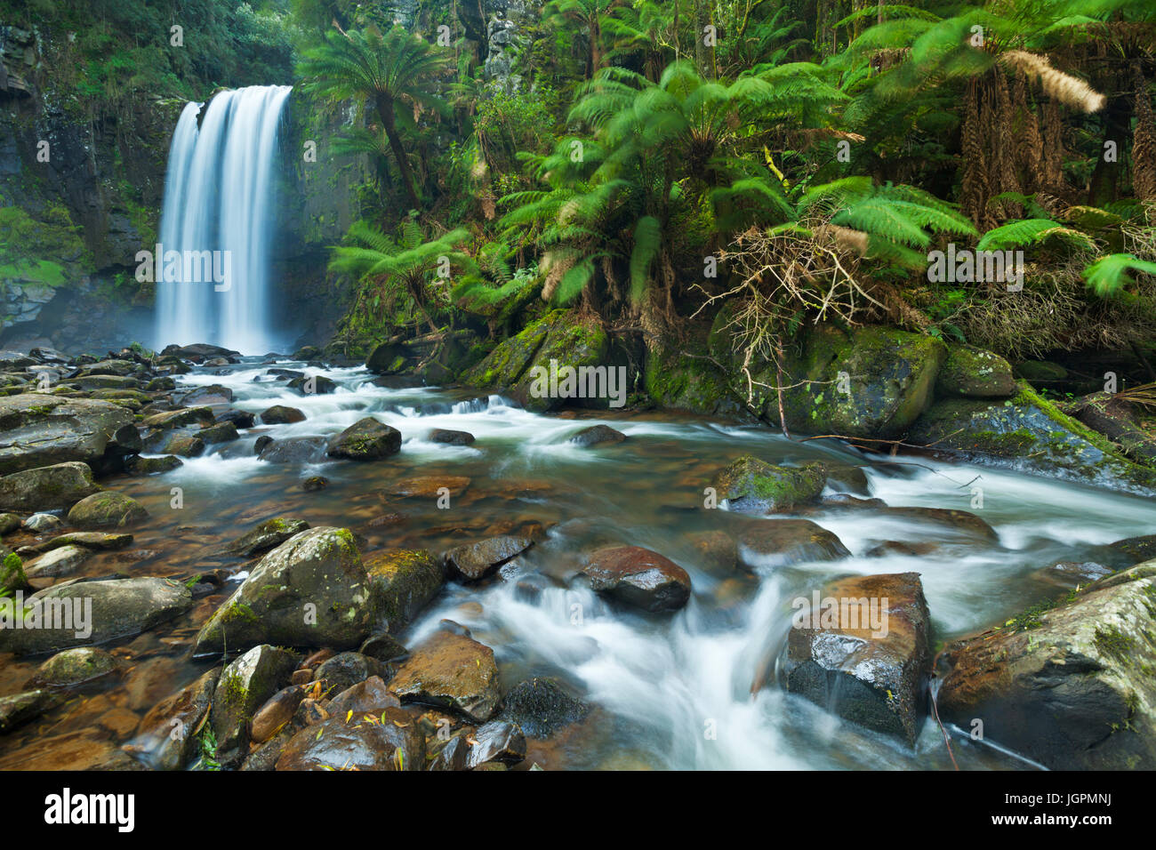 Wasserfall in einem üppigen Regenwald. Fotografiert an Hopetoun Falls im Great Otway National Park in Victoria, Australien. Stockfoto