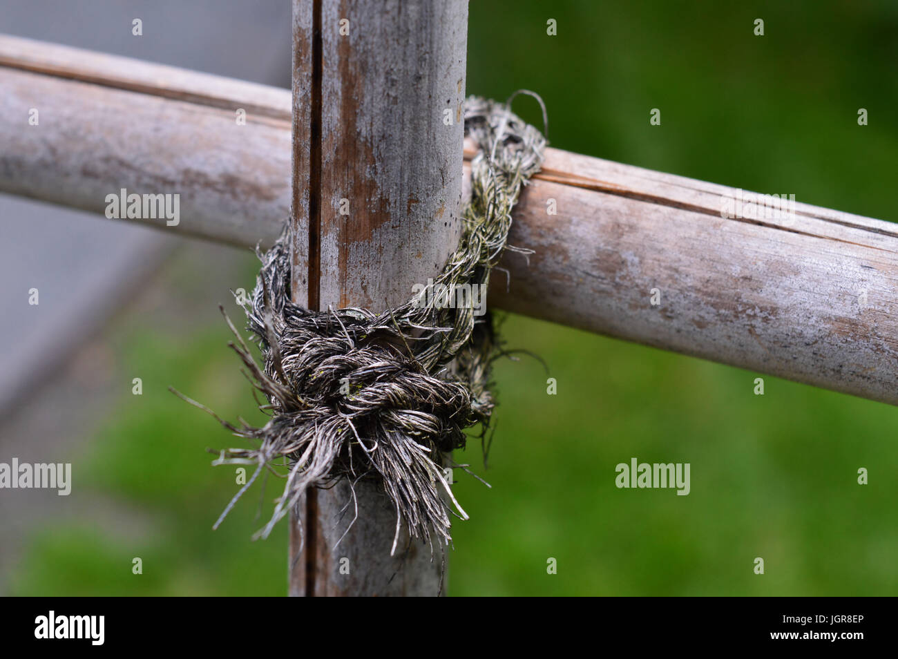 Zaun in einen japanischen Garten Stockfoto