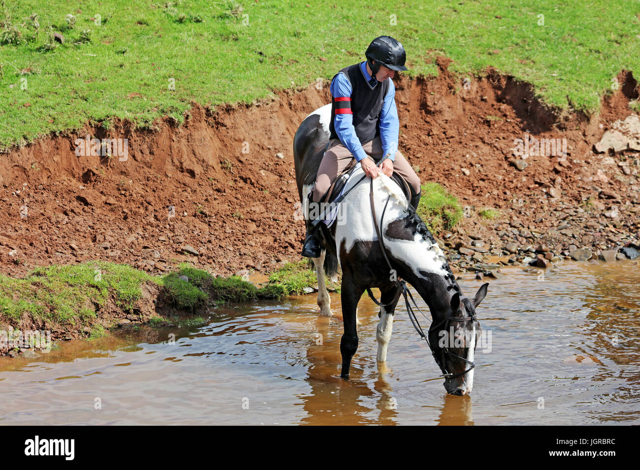 Der Reiter sein Pferd eine Chance für ein Getränk im Fluss Whitadder. Ellemford. Scottish Borders. Stockfoto