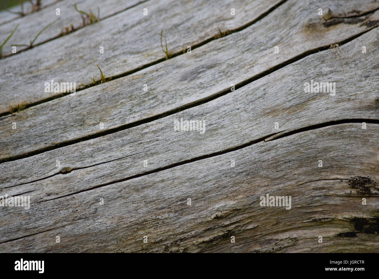 Risse In Holz Stockfotos & Risse In Holz Bilder - Alamy