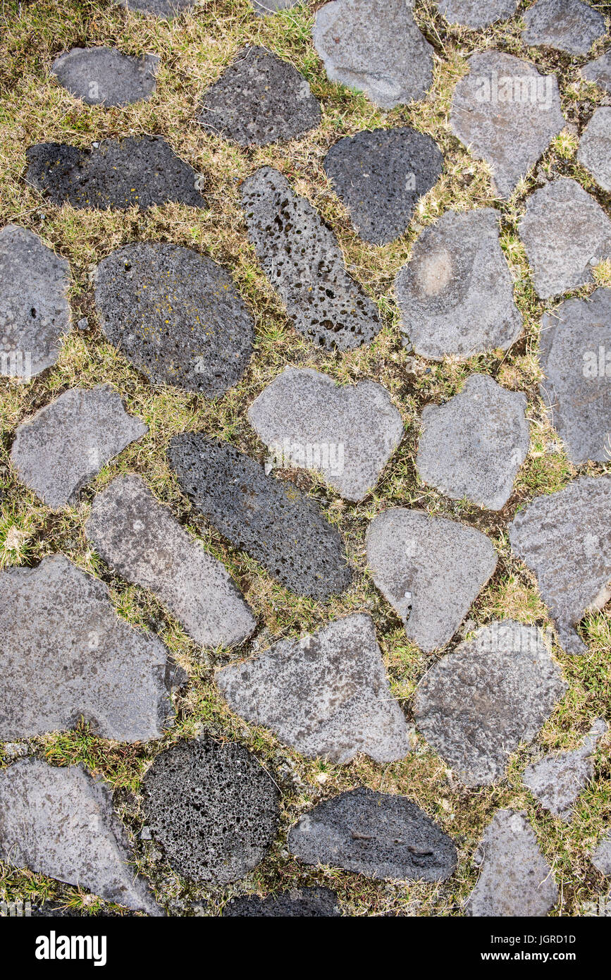 Rock und Grass Textur Stockfoto