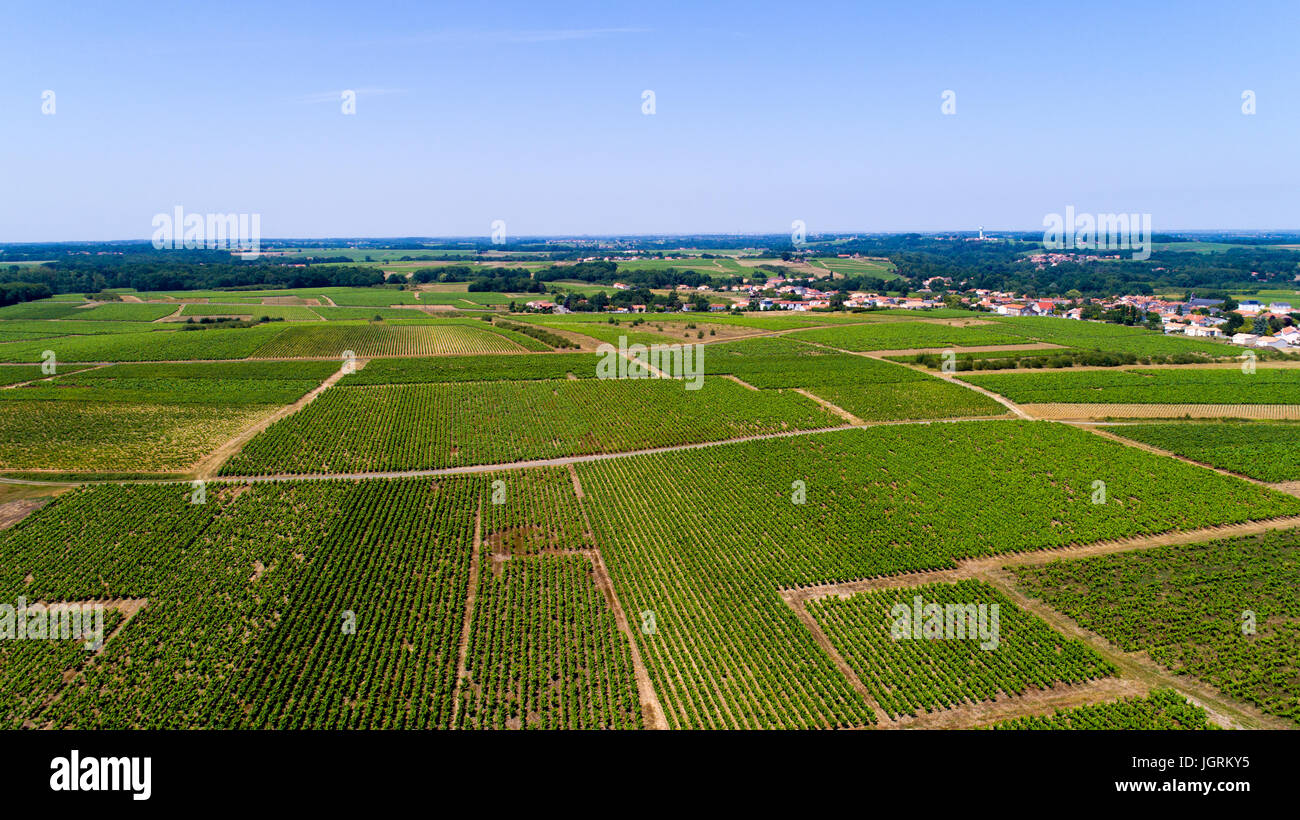 Luftaufnahmen von Nantes Weinberge in der Nähe von Altillac Dorf, Frankreich Stockfoto