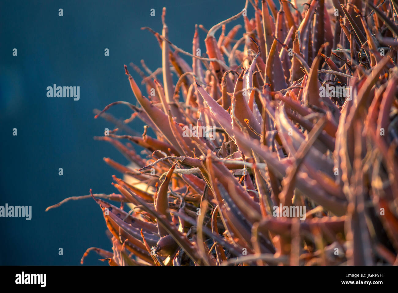 mehrere Werte Stockfoto