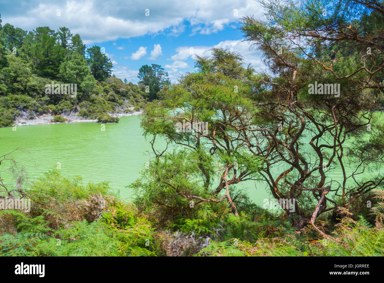 Waiotapu Thermal Wonderland, Rotorua, Neuseeland Stockfoto
