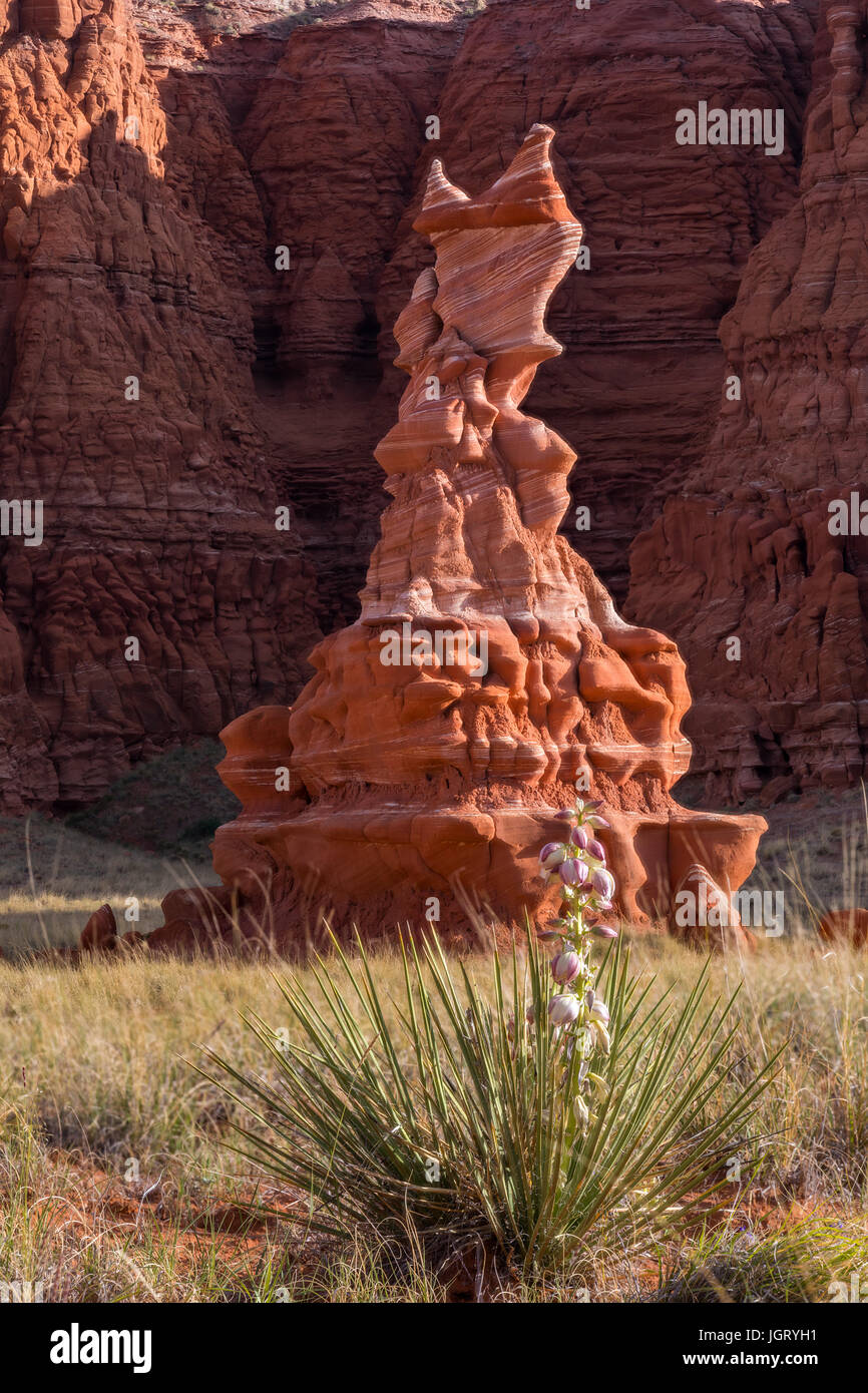 Die Hopi Clown. Moenave Sandstein, eine relativ weiche Sandstein-Schicht, die eignet sich gut, durch Erosion geformt wird. Arizona, USA Stockfoto
