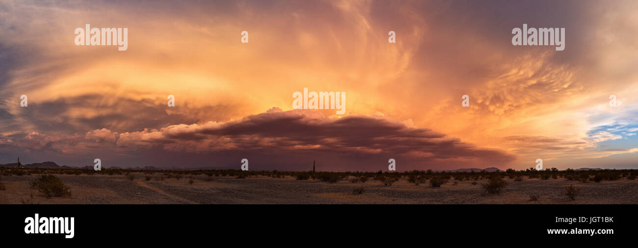 Der Monsun von Arizona bei Sonnenuntergang am Himmel, wenn sich ein Staubsturm nähert Stockfoto