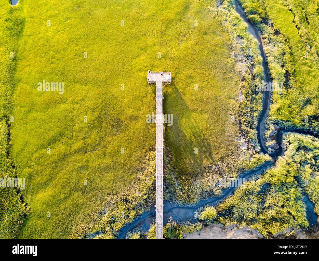 Luftaufnahme des Sumpfes mit eine lange Holzbrücke Stockfoto