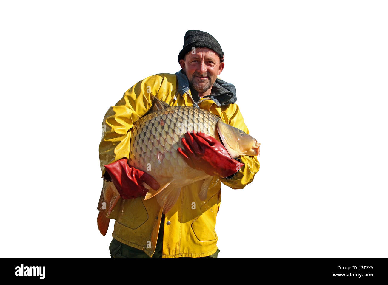 Porträt von Fischer mit großen Karpfen in seinen Händen isoliert auf weißem Hintergrund. Stockfoto