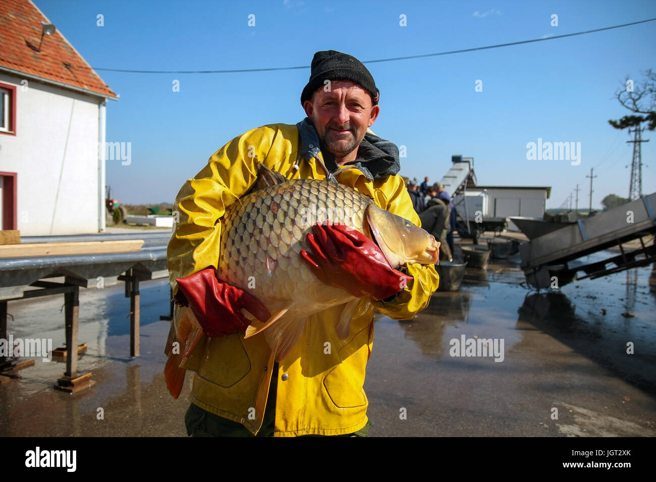 Porträt von Fischer mit großen Karpfen in seinen Händen auf Fischfarm. Stockfoto