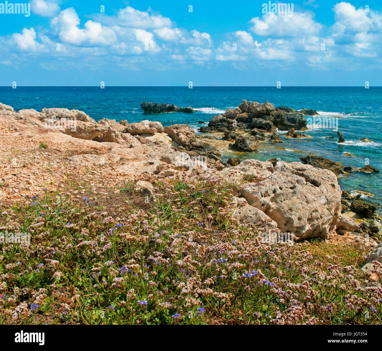 Blick auf Mittelmeer von felsigen Küste mit schönen blauen Wildblumen gegen blauen Himmel an sonnigen Sommertag, Zypern Stockfoto