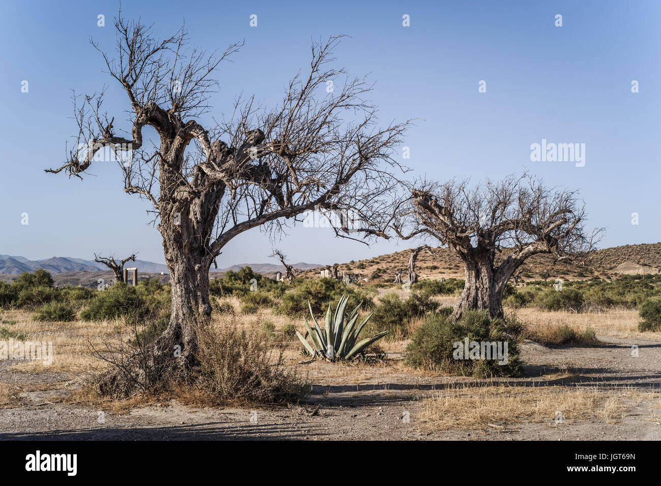 Wunderbare Landschaften in die Wüste von Tabernas, Andalusien, Spanien Stockfoto
