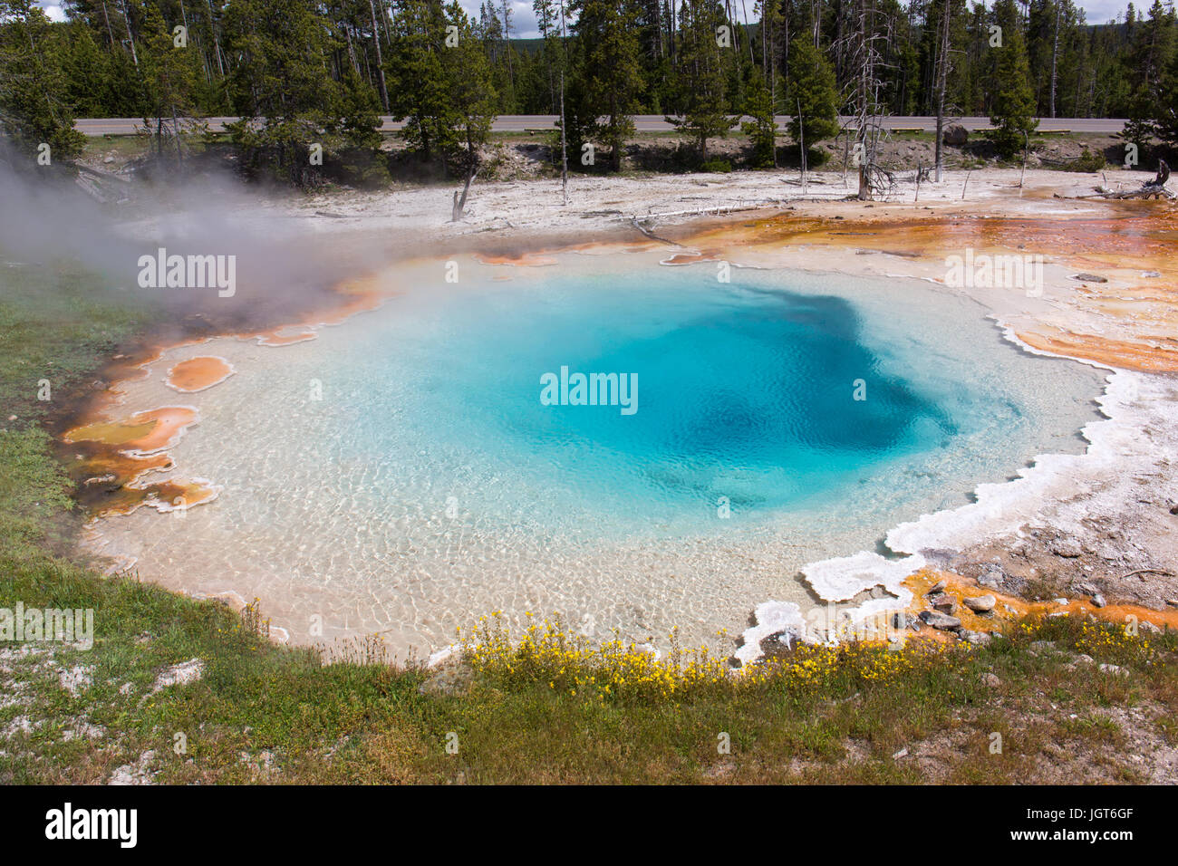 Silex-Frühling in der Lower Geyser Basin aus Fountain Paintpot Trail, Yellowstone-Nationalpark Stockfoto