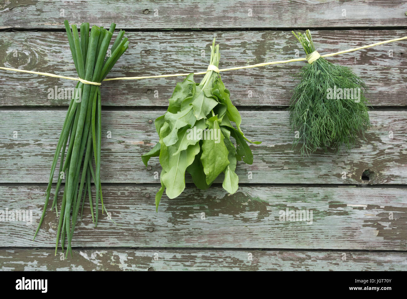 hängende Kräuter auf hölzernen Hintergrund Stockfoto