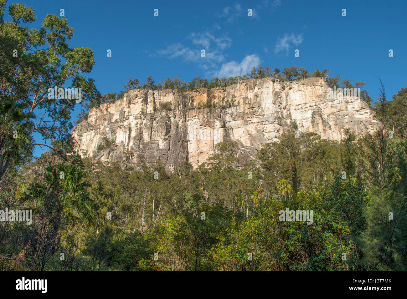 Felswand, Carnarvon Gorge, Queensland, Australien Stockfoto