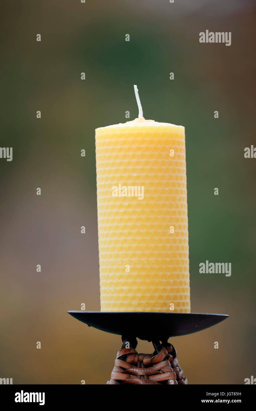 Bienenwachskerze / Honigkerze, Kerze | Bienenwachs-Kerze Stockfotografie -  Alamy