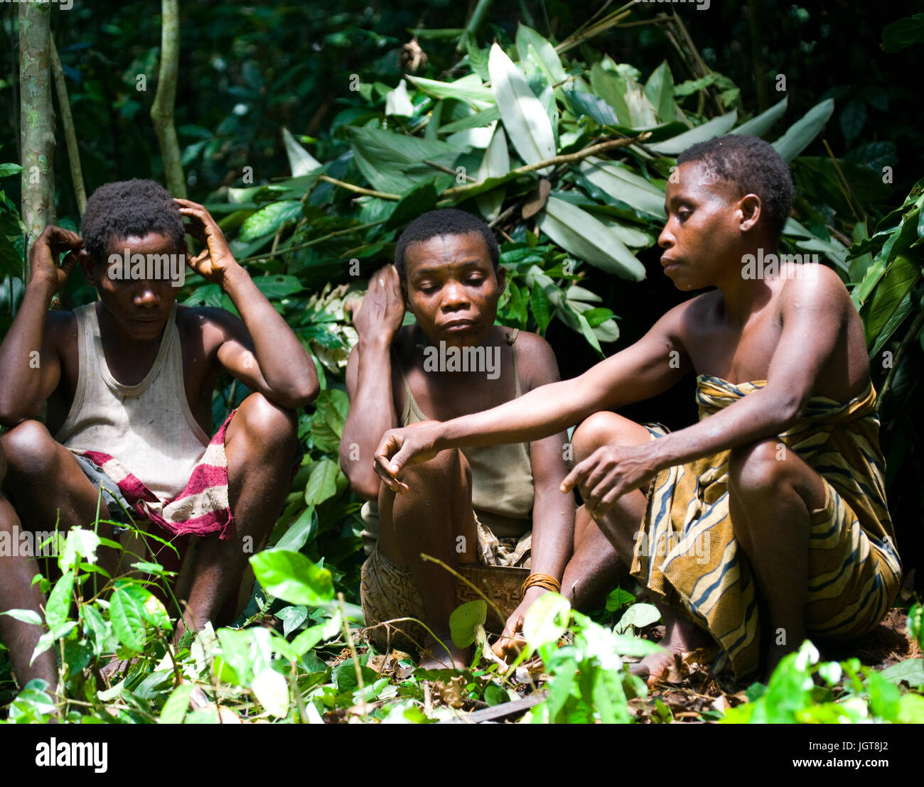 DZANGA-SANHA WALDRESERVAT, Zentralafrikanische Republik - 2. November 2008: Frauen aus dem Stamm der Pygmäen sitzen im Wald. Stockfoto