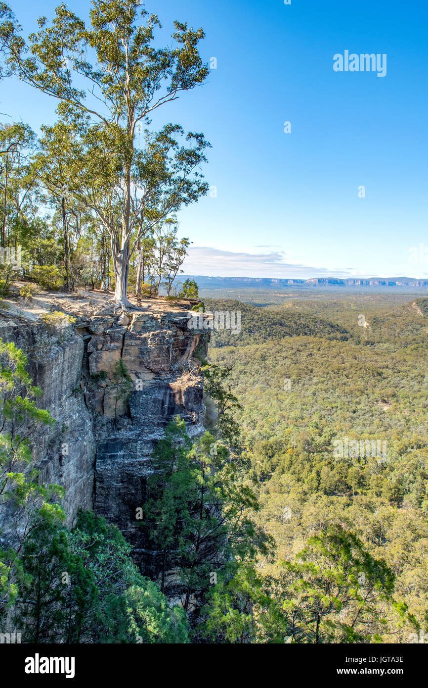 Boolimba Bluff, Carnarvon Gorge, Queensland, Australien Stockfoto