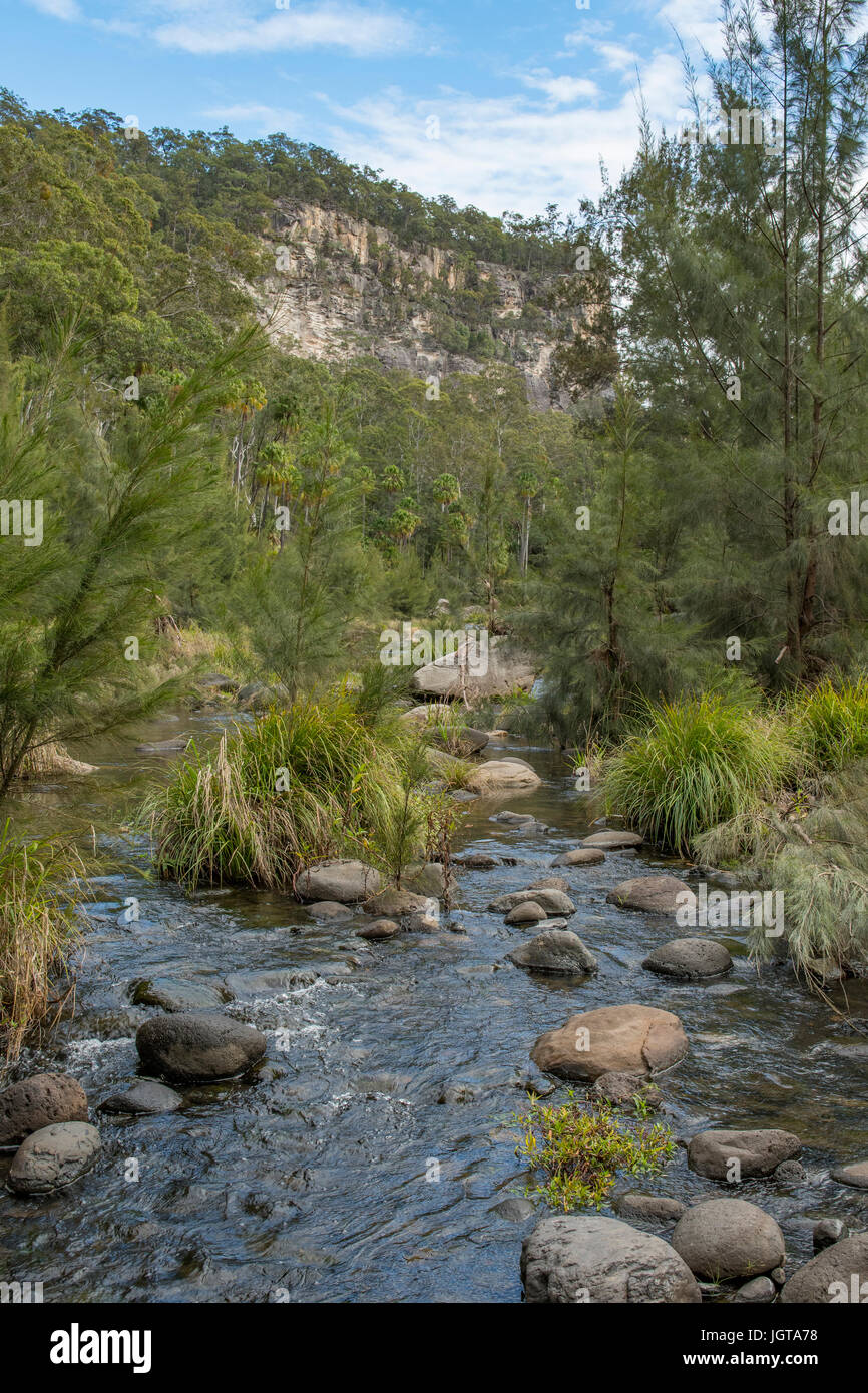 Moosgarten Crossing, Carnarvon Gorge, Queensland, Australien Stockfoto