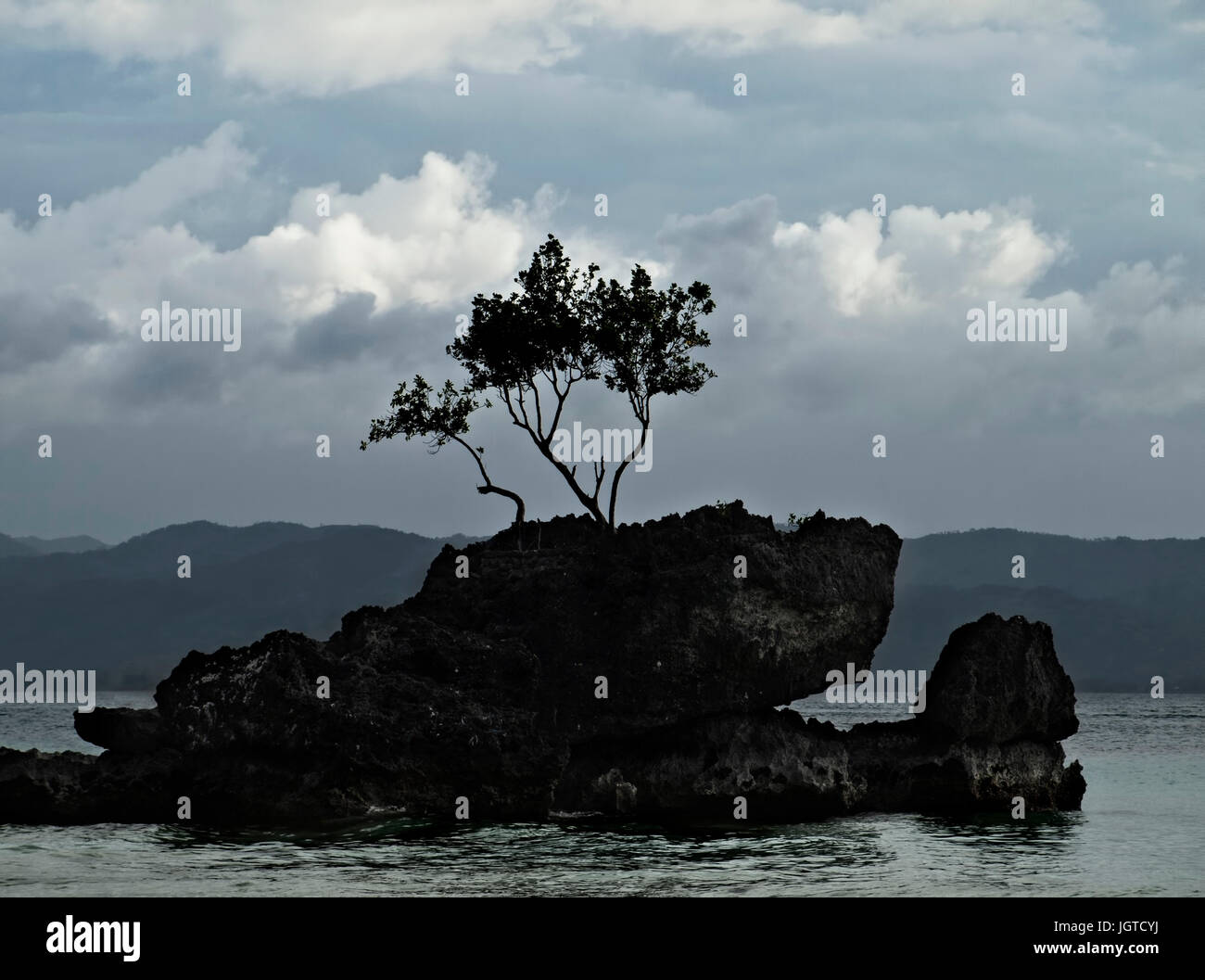 Baum auf Felsen im Meer vor Gewitterhimmel auf der Insel Boracay, Philippinen Stockfoto