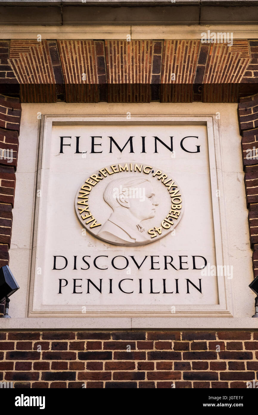 Sir Alexander Fleming entdeckte Penicillin-Plakette an der Wand der St.Mary Hospital, Paddington, London, England, Vereinigtes Königreich Stockfoto