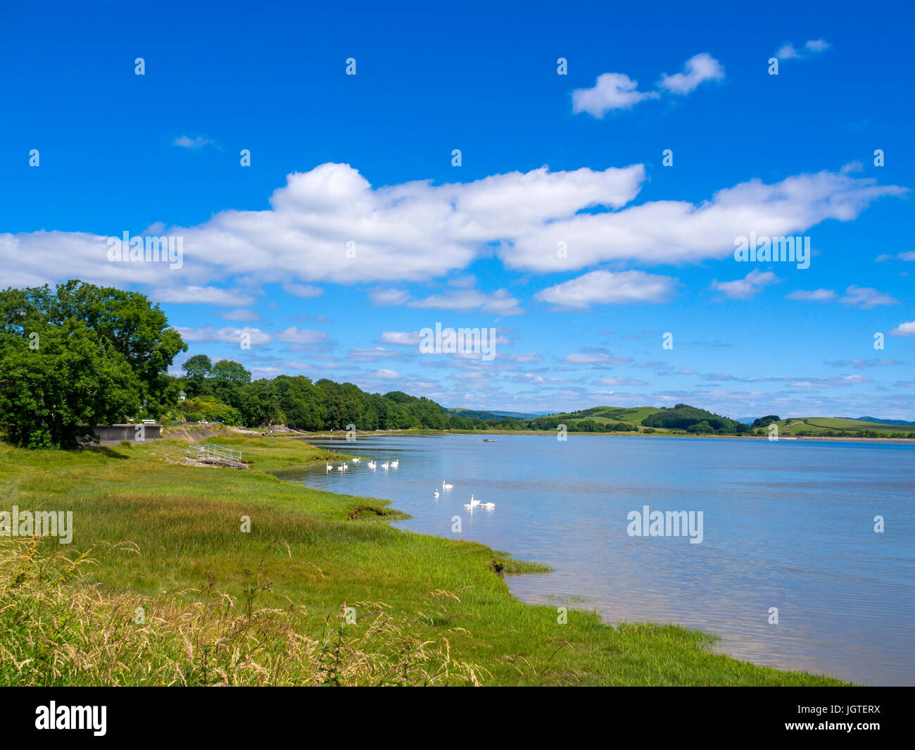 Küste bei Canal Fuß Ulverston Cumbria suchen Norden ostwärts Plumpton Stockfoto