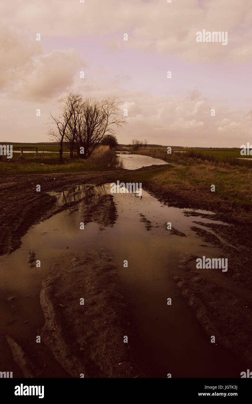 Binnengewässer Stockfoto