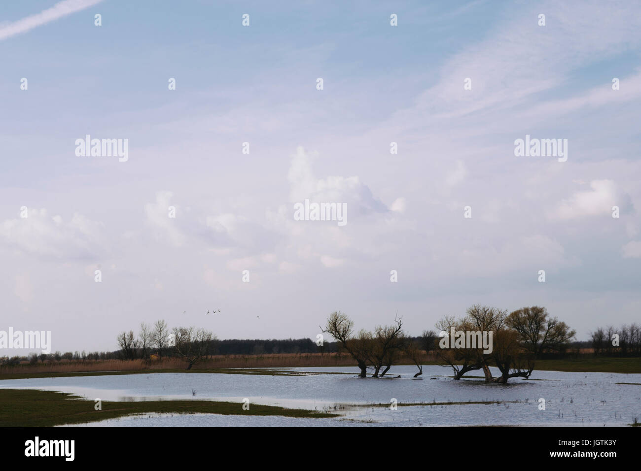 Weide-Binnengewässer Stockfoto