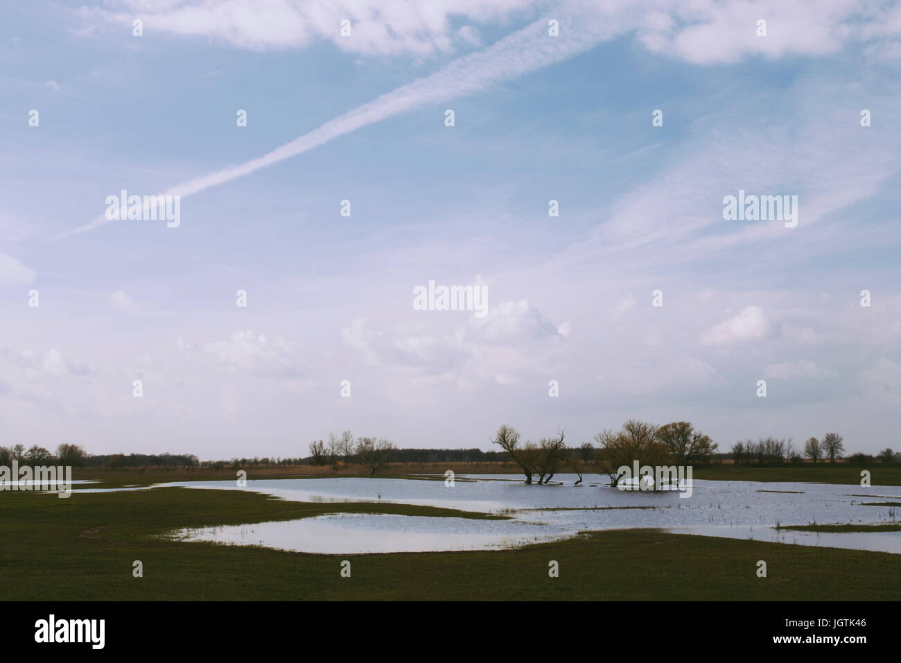 Weide-Binnengewässer Stockfoto
