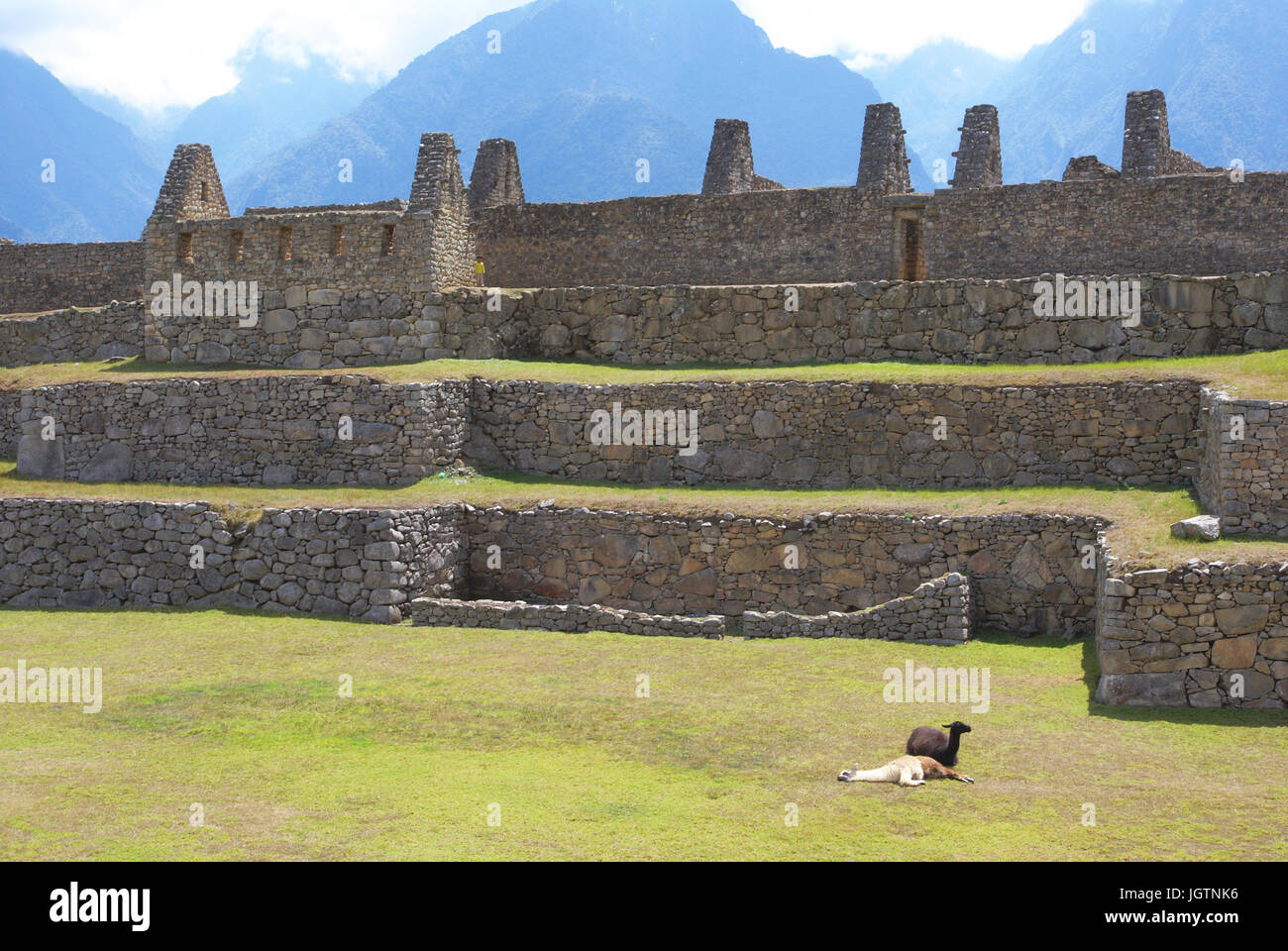 Machu Picchu - Valle Sagrado de Los Incas - Region de Cusco - Perú ATENÇÃO: NÃO PODEMOS REPRESENTAR ESSA IMAGEM FORA DA AMERICA LATINA Stockfoto