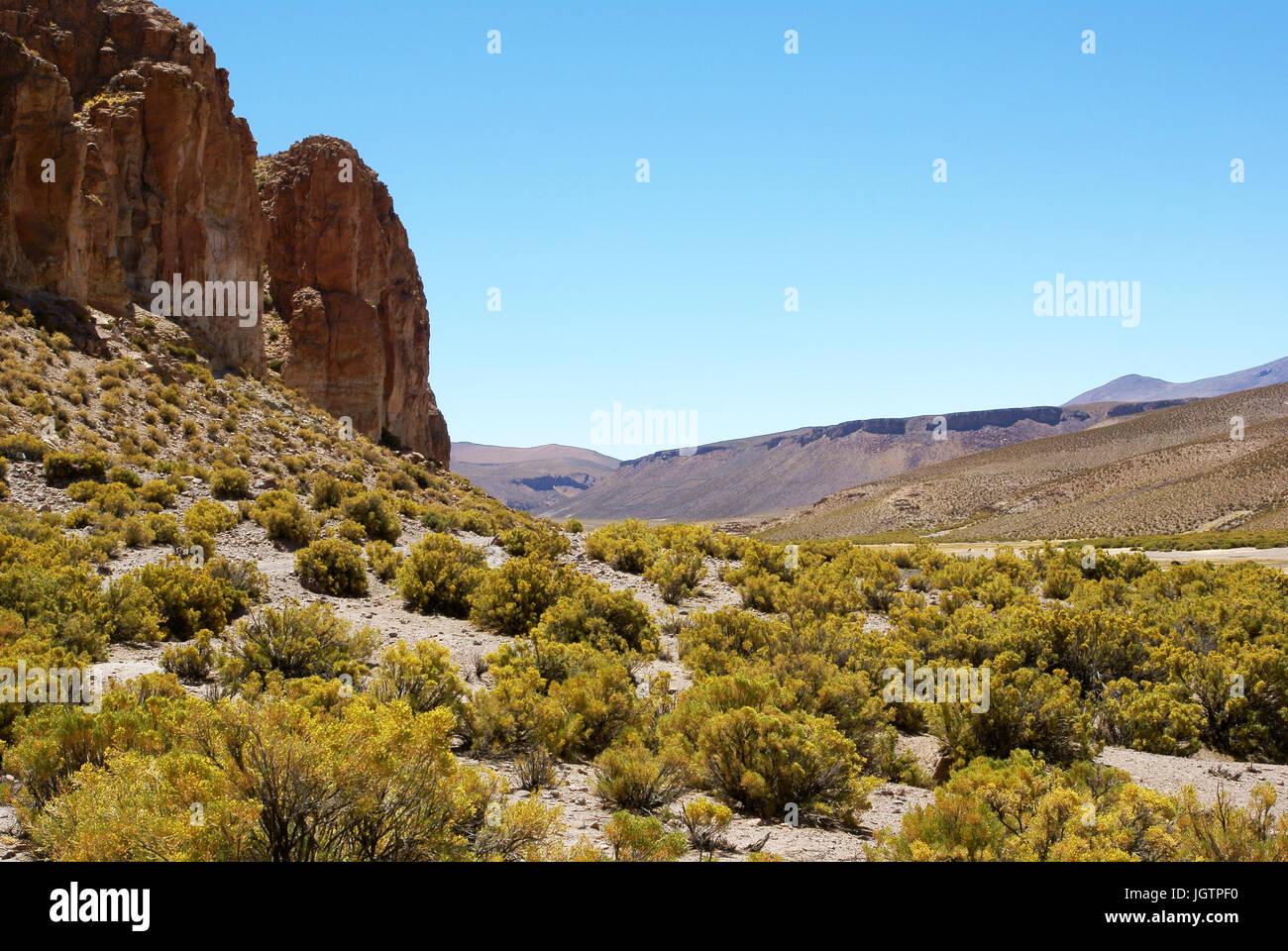Wüste Lipez, Abteilung von Potosi, Sud Lipez Provinz, La Paz, Bolivien Stockfoto