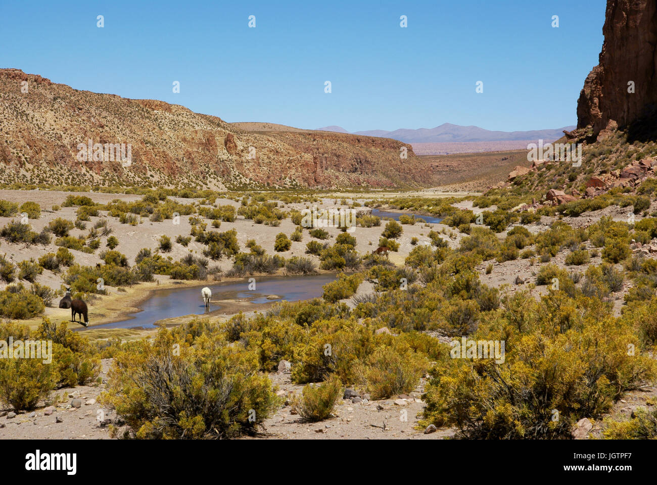 Wüste Lipez, Abteilung von Potosi, Sud Lipez Provinz, La Paz, Bolivien Stockfoto