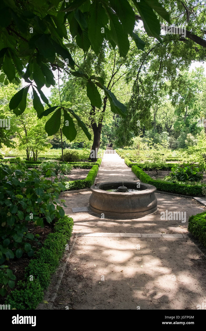 Königliche Botanische Garten (Real Jardin Botanico) Madrid, Spanien. Stockfoto