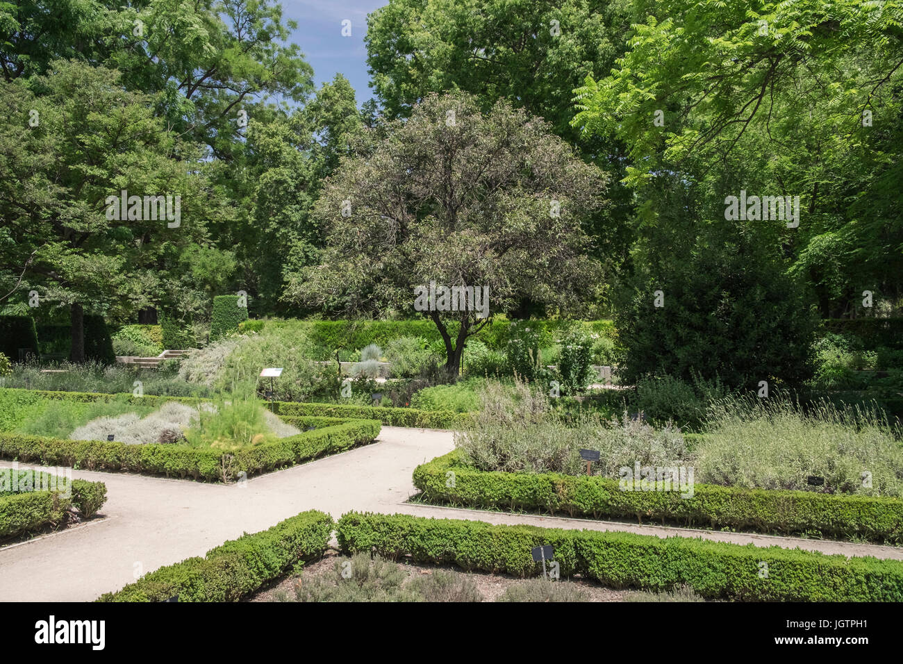 Königliche Botanische Garten (Real Jardin Botanico) Madrid, Spanien. Stockfoto