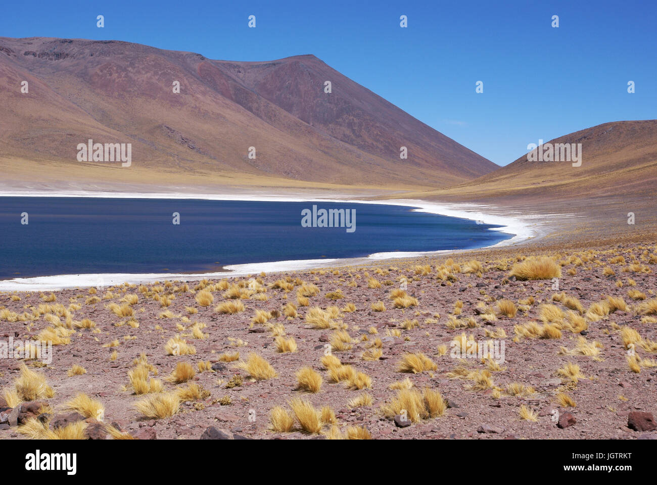 Laguna Miñiques, Los Flamencos Reserve National, Atacama-Wüste Region Antofagasta, Santiago, Chile Stockfoto