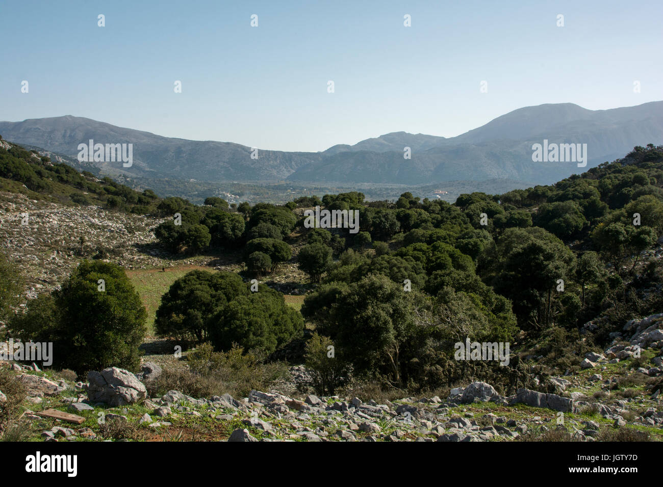Die Lassithi-Hochebene ist ein Karst plain oder Polje bei einer Elevvation rund 840 Meter über dem Meer im Osten von Kreta mit intensiver Landwirtschaft. Stockfoto