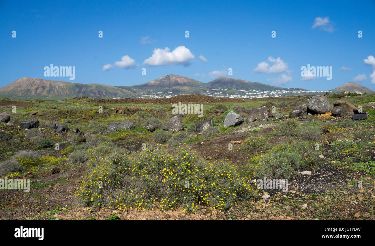 Landschaft von Puerto del Carmen, Lanzarote, Kanarische Inseln, Spanien, Europa Stockfoto