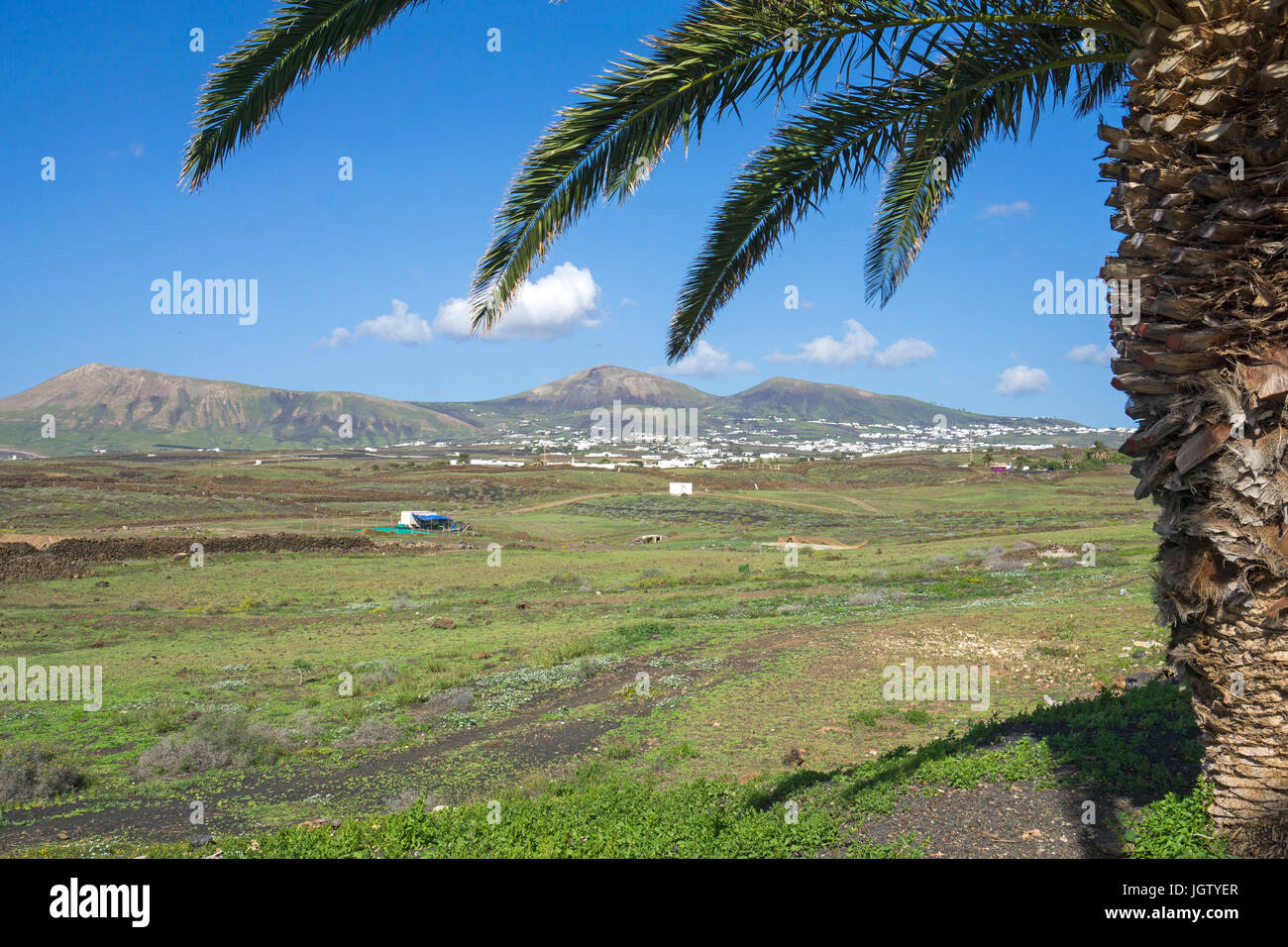 Landschaft von Puerto del Carmen, Lanzarote, Kanarische Inseln, Spanien, Europa Stockfoto