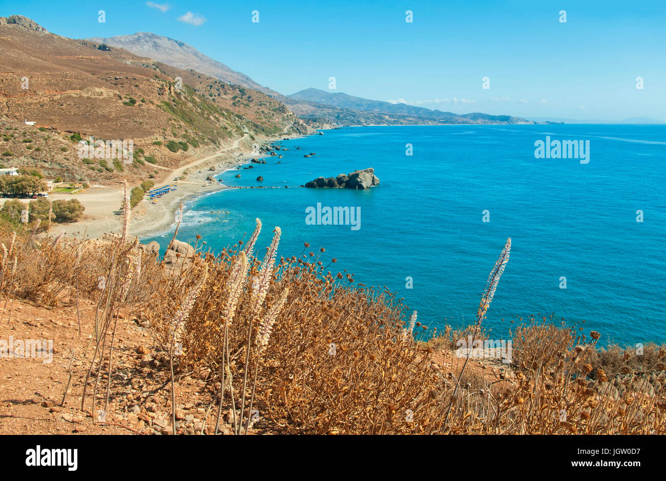 Ansicht von Preveli Strand umgeben von Bergen gegen klar blauen Himmel mit Urginea Maritima Blumen im Vordergrund, Kreta, Griechenland Stockfoto